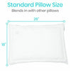 Waterbase Pillow