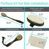 Body Brush Set, Dark