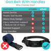 Transfer Belt with Handles - Plastic Buckle