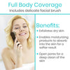 Body Brush Set, Dark