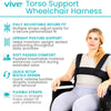 Torso Support Wheelchair Harness