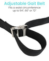 Transfer Belt - Metal Buckle