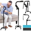 Stand Assist Cane